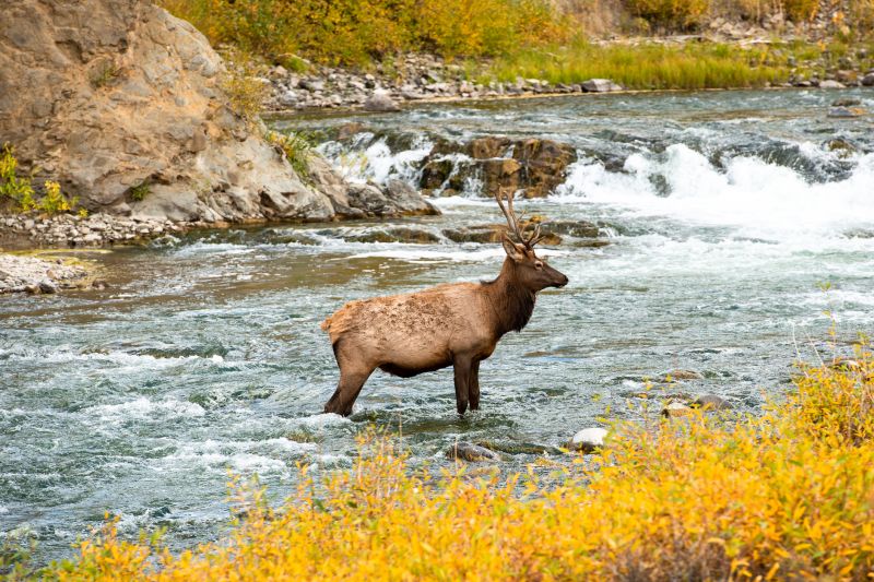 Best Bathtub Installation pros in Elk River, MN